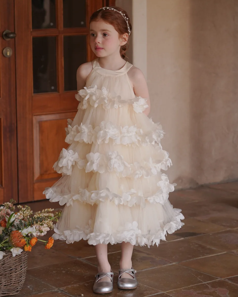 🍰 Petal Layer Tulle Dress – A Little Cake, A Lot of Twirl 🌸