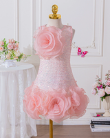🌸 Blooming Cutie: 3D Floral Mini Ball Gown for Little Divas 👑