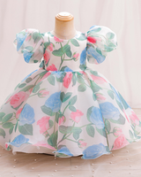 🌸 Puff Sleeve Print A-Line Dress – Sweet, Simple & Twirl-Ready ✨