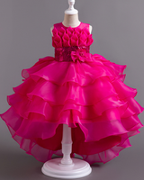 🌹Cascading Tulle Gown – Short Front, Long Back Elegance✨