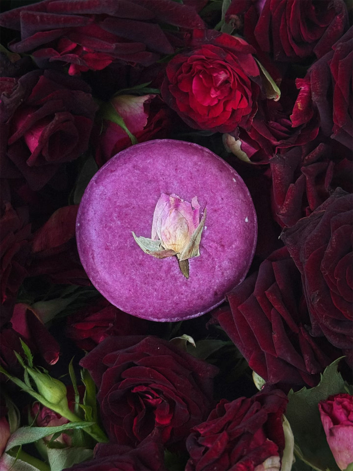 Artisan Silk Nocturne Rose Amino Acid Shampoo Bar – Deep Nourishing Smoothing Hair Soap (75g)